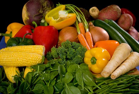 Nutrition at Higgys House 